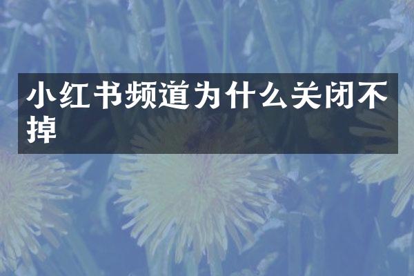 小红书频道为什么关闭不掉