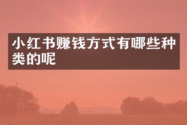 小红书赚钱方式有哪些种类的呢