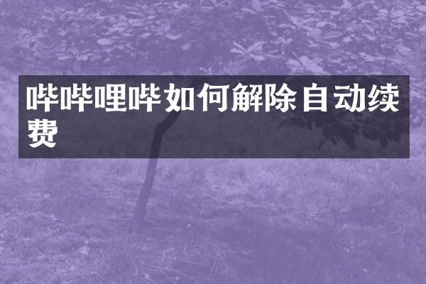 哔哔哩哔如何解除自动续费
