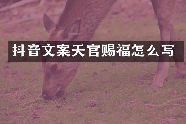 抖音文案天官赐福怎么写