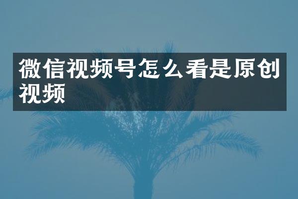 微信视频号怎么看是原创视频