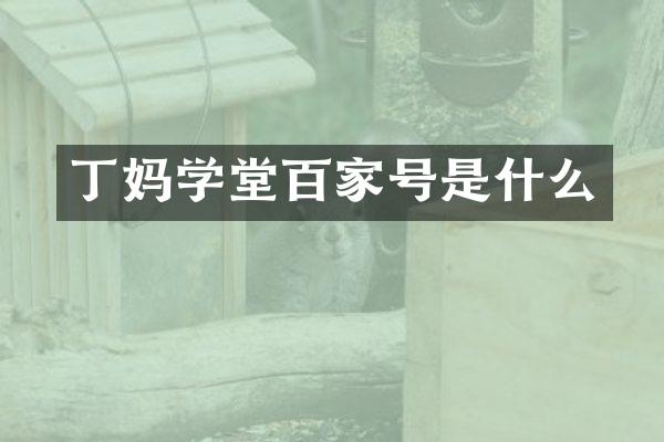 丁妈学堂百家号是什么