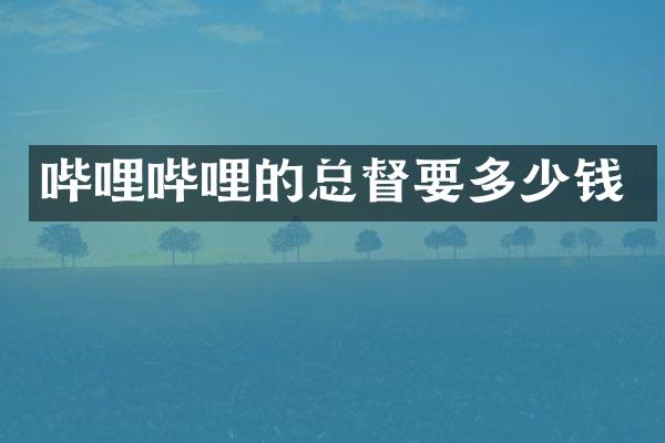 哔哩哔哩的总督要多少钱
