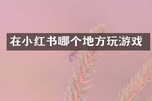 在小红书哪个地方玩游戏