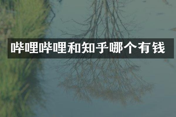 哔哩哔哩和知乎哪个有钱
