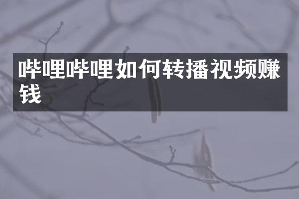 哔哩哔哩如何转播视频赚钱