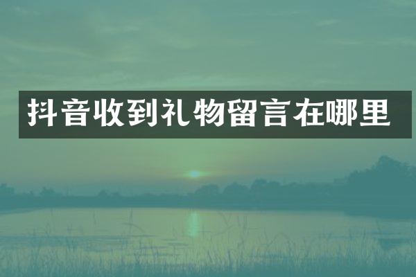 抖音收到礼物留言在哪里