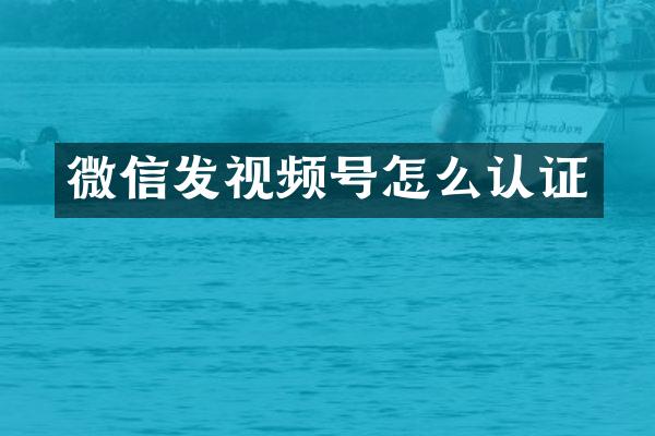 微信发视频号怎么认证