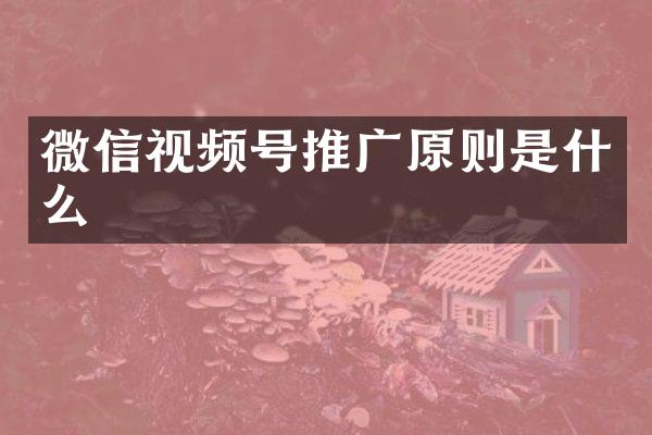 微信视频号推广原则是什么