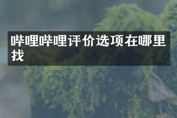 哔哩哔哩评价选项在哪里找