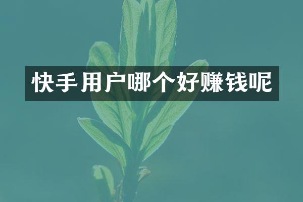 快手用户哪个好赚钱呢