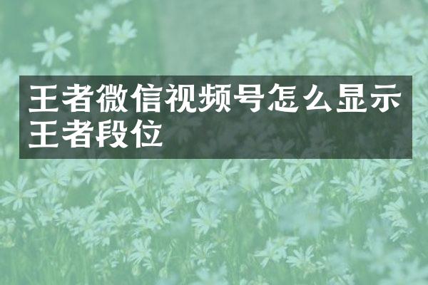 王者微信视频号怎么显示王者段位