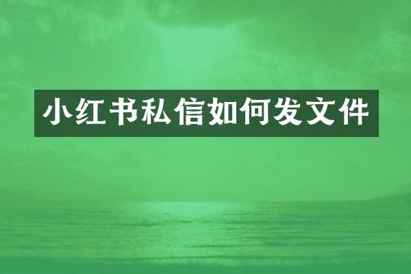小红书私信如何发文件