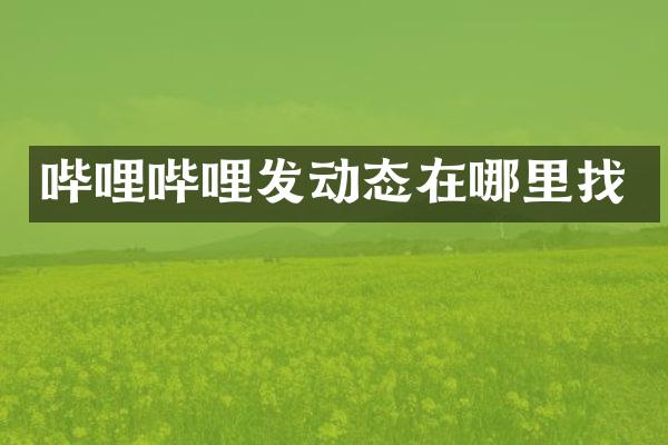 哔哩哔哩发动态在哪里找