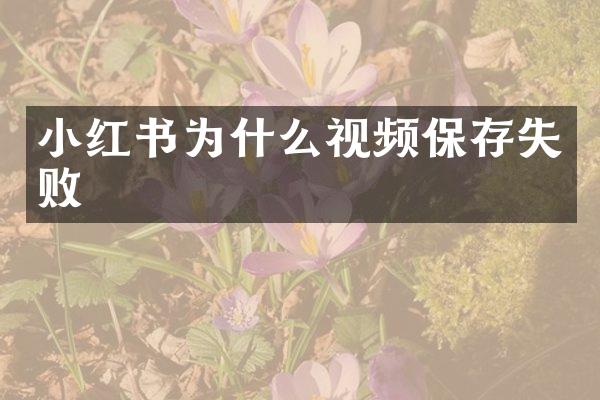 小红书为什么视频保存失败