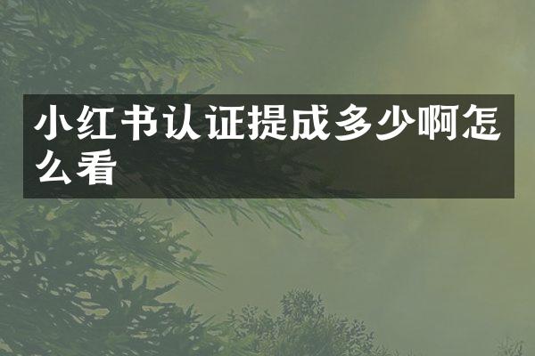 小红书认证提成多少啊怎么看