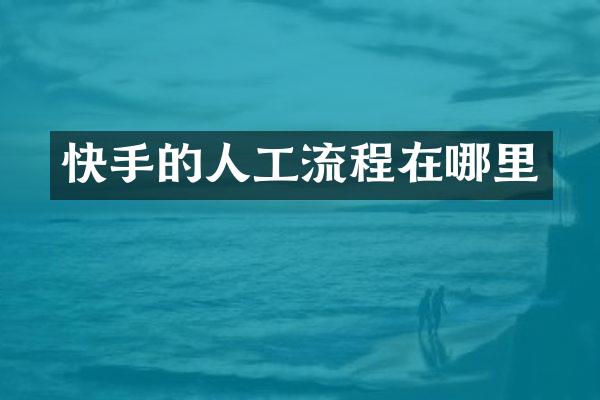 快手的人工流程在哪里