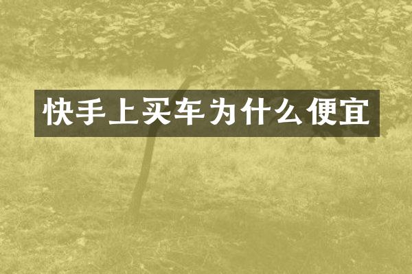 快手上买车为什么便宜