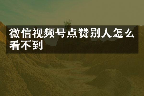 微信视频号点赞别人怎么看不到