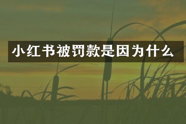 小红书被罚款是因为什么