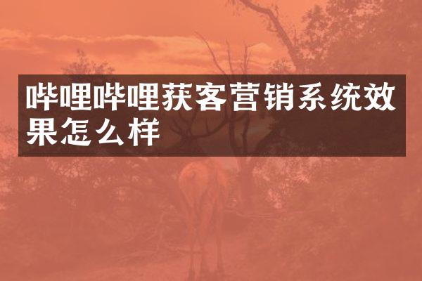 哔哩哔哩获客营销系统效果怎么样