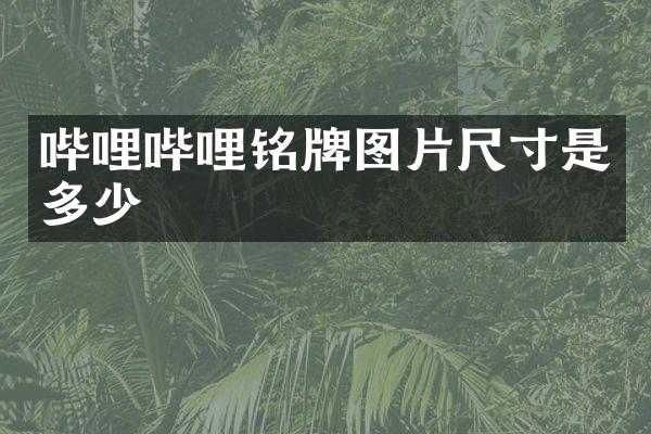 哔哩哔哩铭牌图片尺寸是多少
