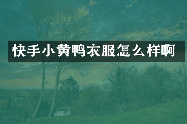 快手小黄鸭衣服怎么样啊
