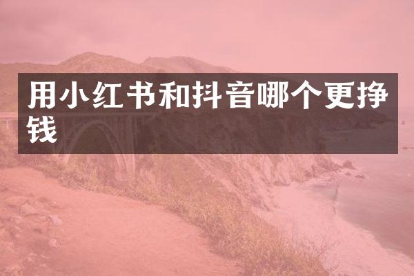 用小红书和抖音哪个更挣钱