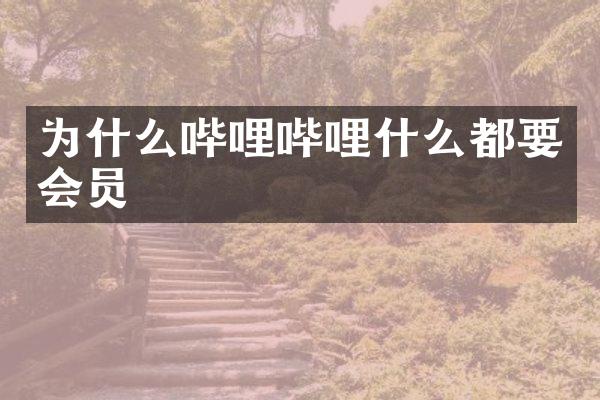 为什么哔哩哔哩什么都要会员