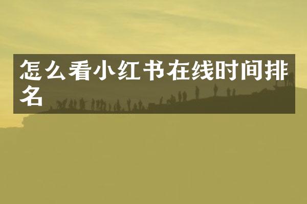 怎么看小红书在线时间排名