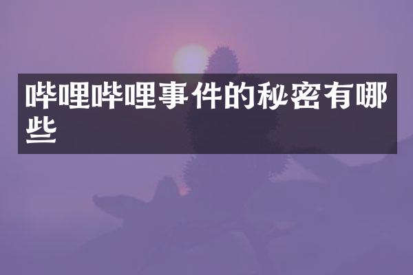 哔哩哔哩事件的秘密有哪些