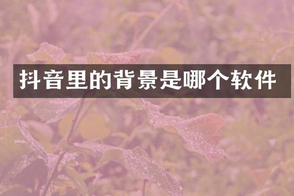抖音里的背景是哪个软件