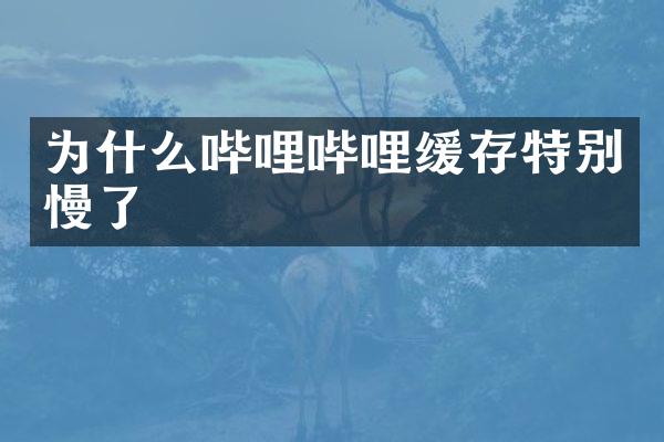 为什么哔哩哔哩缓存特别慢了