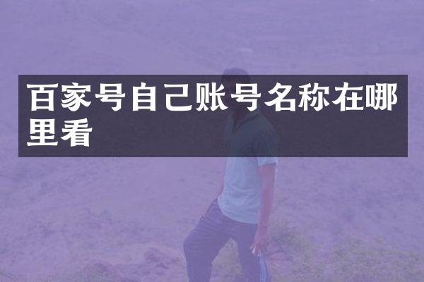 百家号自己账号名称在哪里看