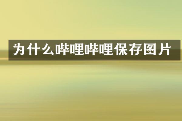 为什么哔哩哔哩保存图片