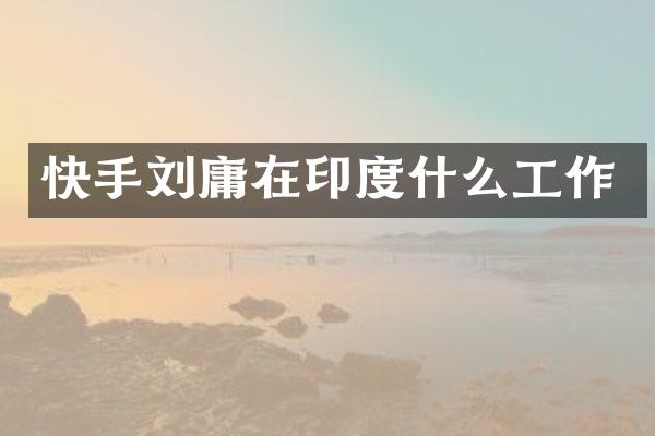 快手刘庸在印度什么工作