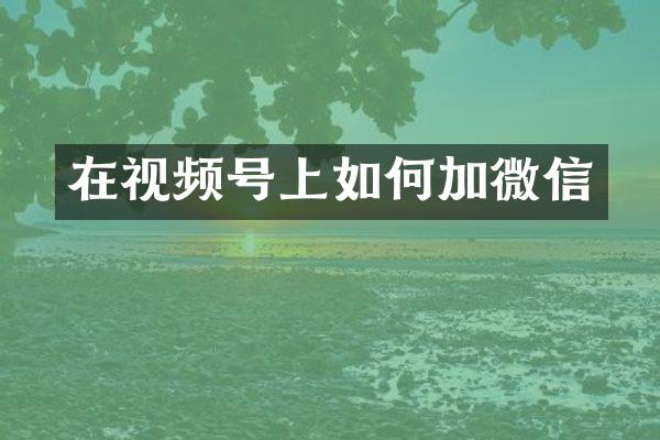 在视频号上如何加微信