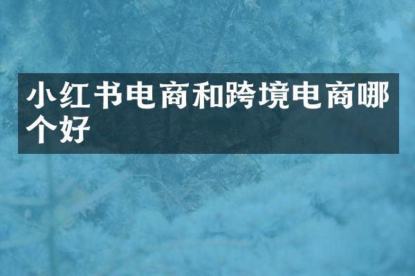 小红书电商和跨境电商哪个好