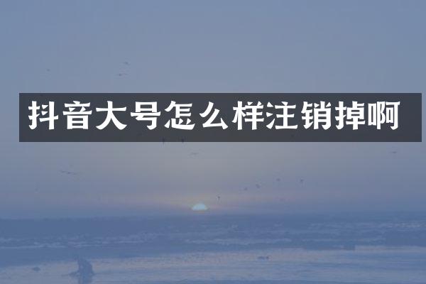 抖音大号怎么样注销掉啊