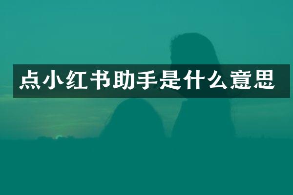 点小红书助手是什么意思