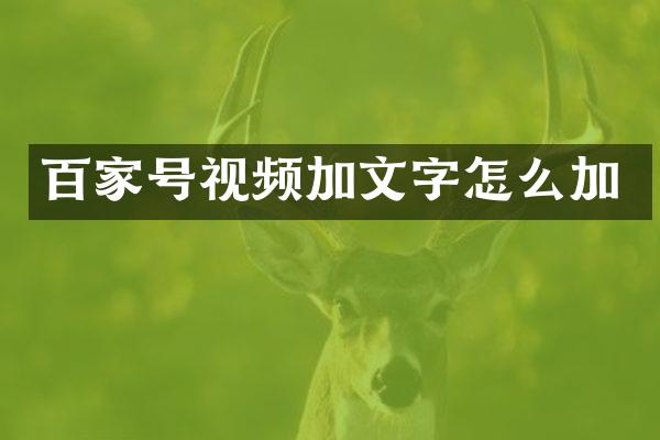 百家号视频加文字怎么加