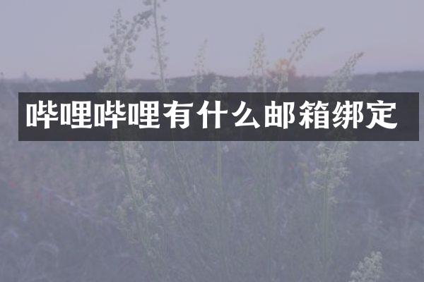 哔哩哔哩有什么邮箱绑定