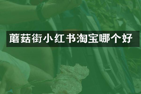 蘑菇街小红书淘宝哪个好