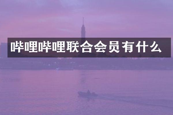 哔哩哔哩联合会员有什么