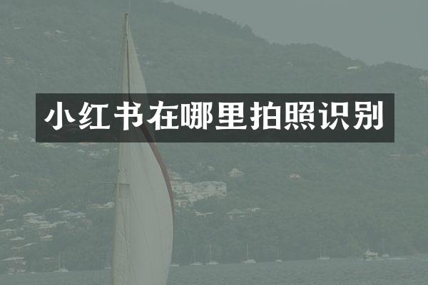 小红书在哪里拍照识别