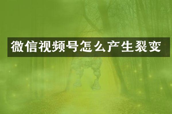 微信视频号怎么产生裂变