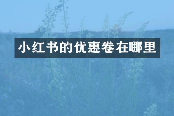 小红书的优惠卷在哪里