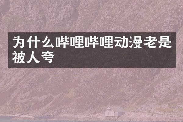 为什么哔哩哔哩动漫老是被人夸