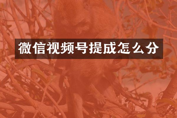微信视频号怎么分