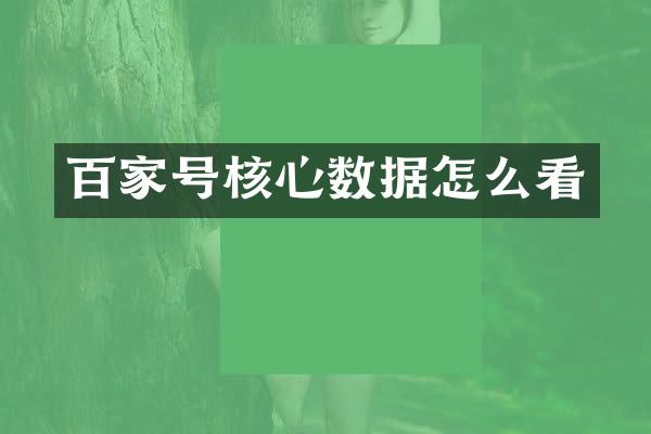百家号核心数据怎么看